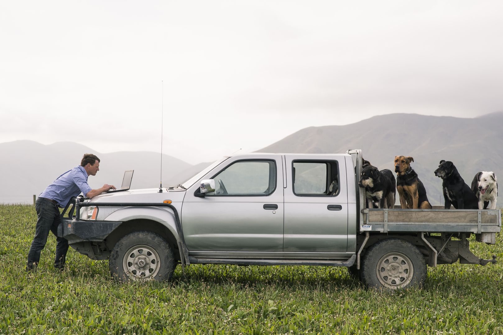 A still, unhurried New Zealand landscape at rest